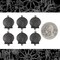 Black Plated Brass Medium Sized Sea Shell Two Ring Connectors - Set of Six - XXX - BB-2C82